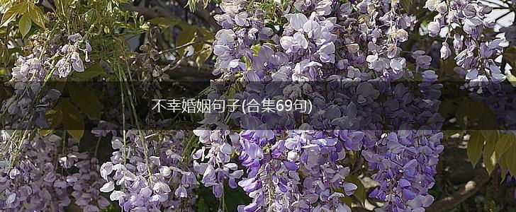 不幸婚姻句子(合集69句),第1张