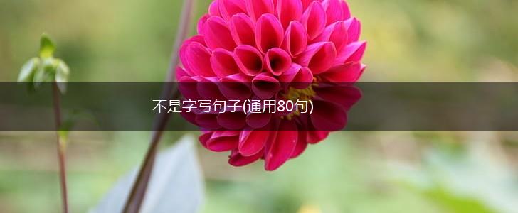 不是字写句子(通用80句),第1张