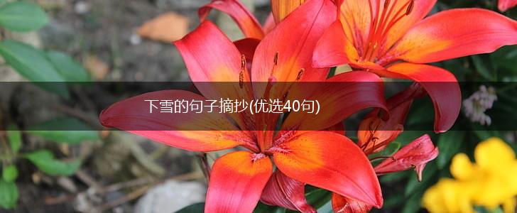 下雪的句子摘抄(优选40句),第1张
