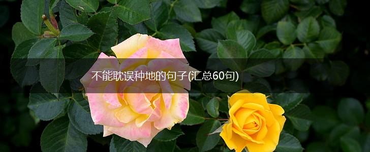 不能耽误种地的句子(汇总60句),第1张