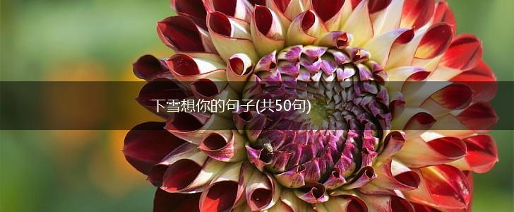 下雪想你的句子(共50句),第1张