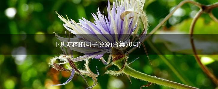下班吃肉的句子说说(合集50句),第1张