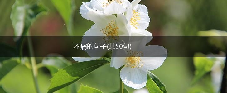 不屑的句子(共50句),第1张