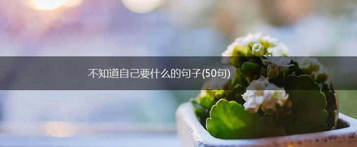 不知道自己要什么的句子(50句),第1张
