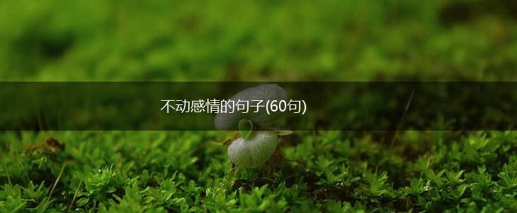 不动感情的句子(60句),第1张