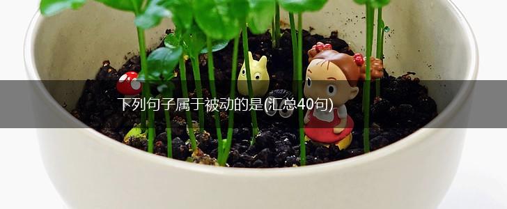 下列句子属于被动的是(汇总40句),第1张