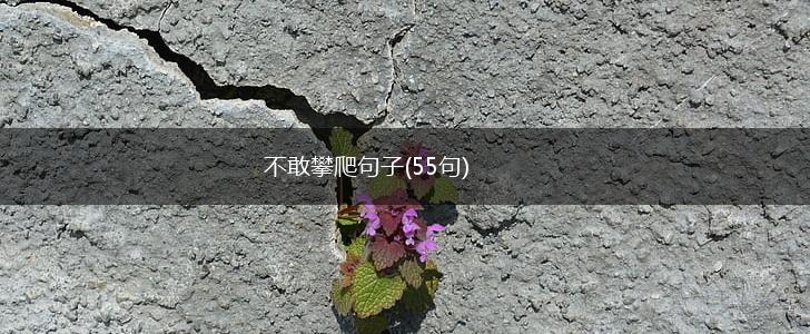 不敢攀爬句子(55句),第1张