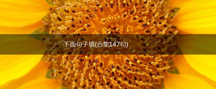 下面句子填(合集147句),第1张