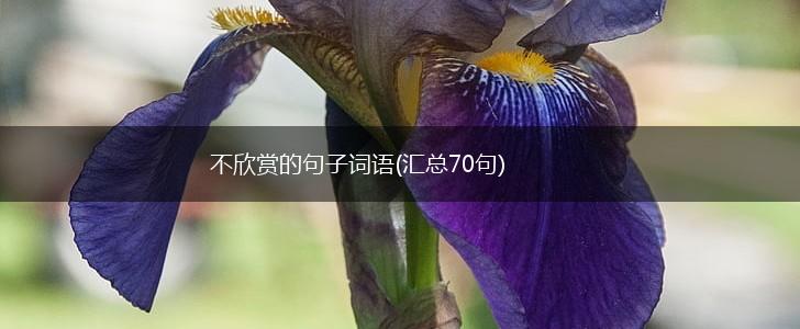 不欣赏的句子词语(汇总70句),第1张