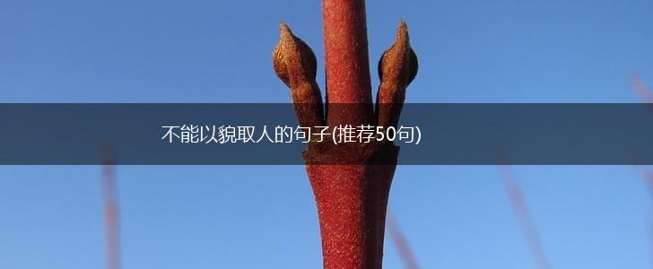 不能以貌取人的句子(推荐50句),第1张