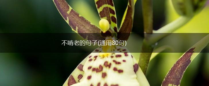不啃老的句子(通用80句),第1张