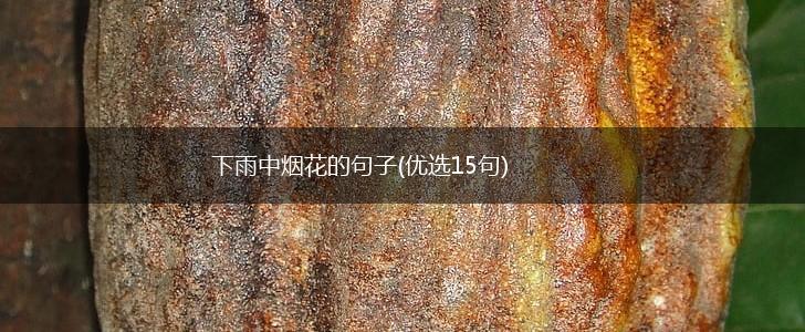 下雨中烟花的句子(优选15句),第1张