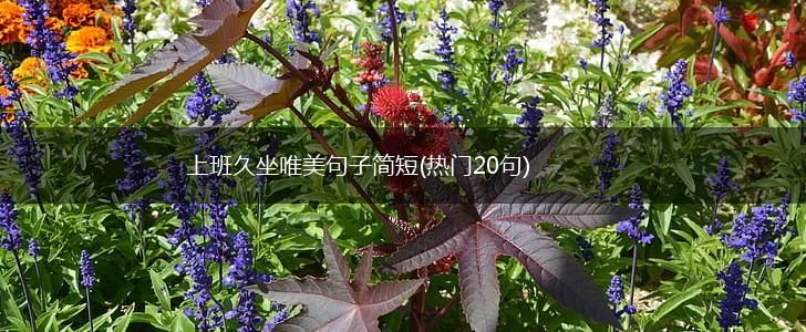 上班久坐唯美句子简短(热门20句),第1张