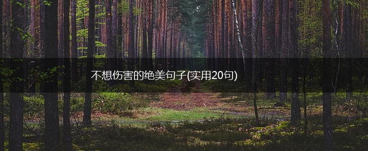 不想伤害的绝美句子(实用20句),第1张