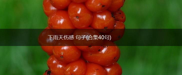 下雨天伤感 句子(合集40句),第1张