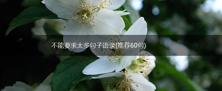 不能要求太多句子语录(推荐60句),第1张