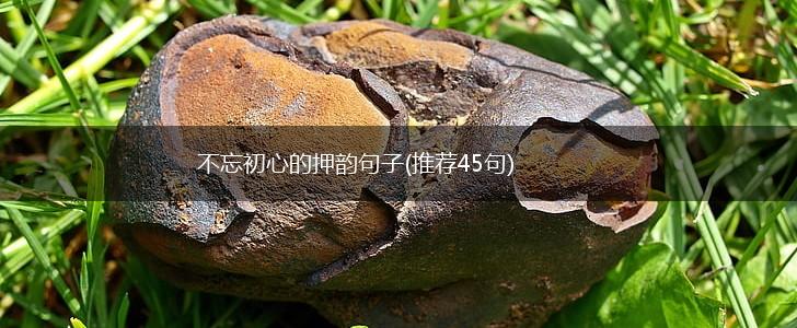 不忘初心的押韵句子(推荐45句),第1张
