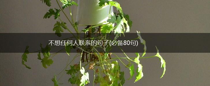 不想任何人联系的句子(必备80句),第1张