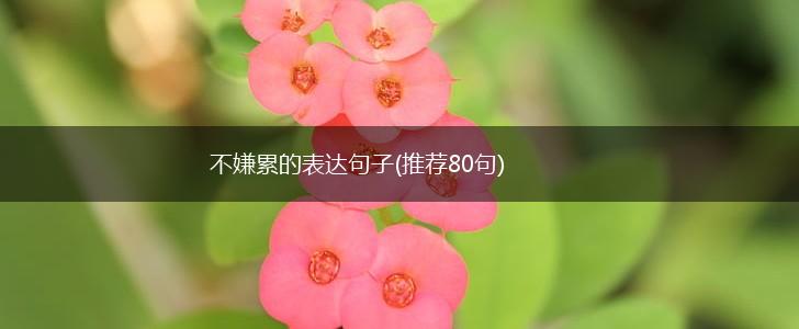 不嫌累的表达句子(推荐80句),第1张