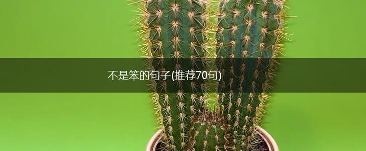 不是笨的句子(推荐70句),第1张
