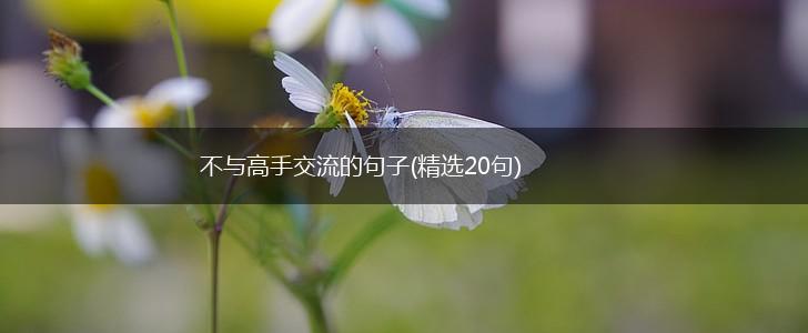 不与高手交流的句子(精选20句),第1张