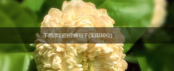 不想漂泊的经典句子(实用30句),第1张