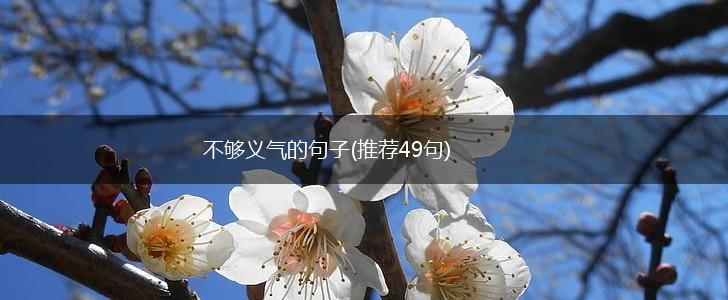不够义气的句子(推荐49句),第1张