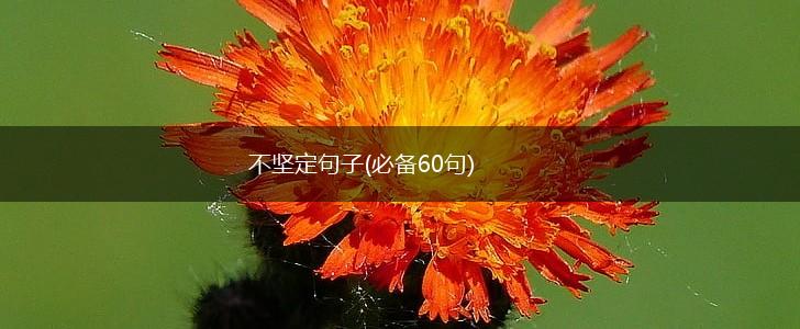 不坚定句子(必备60句),第1张