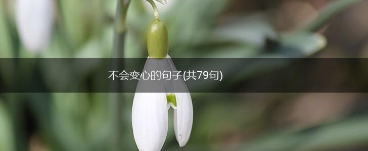不会变心的句子(共79句),第1张