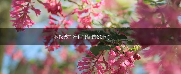 不仅改写句子(优选80句),第1张