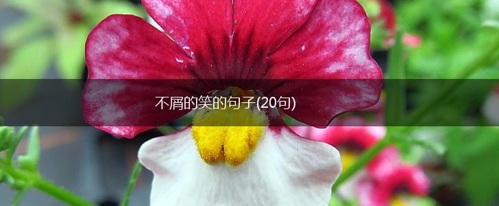 不屑的笑的句子(20句),第1张