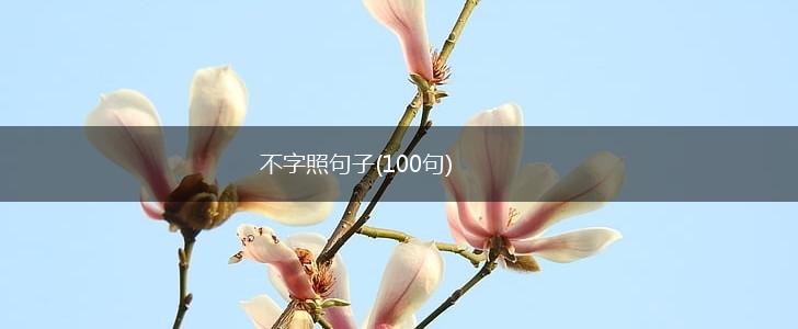 不字照句子(100句),第1张