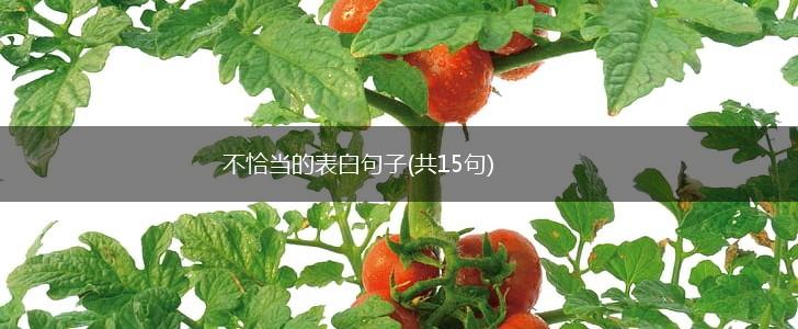 不恰当的表白句子(共15句),第1张