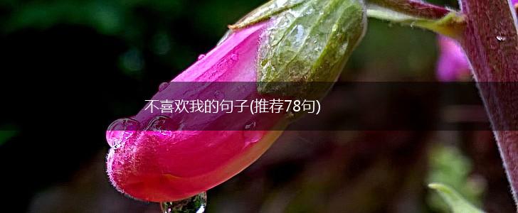 不喜欢我的句子(推荐78句),第1张