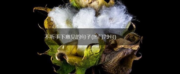 不听手下意见的句子(热门79句),第1张