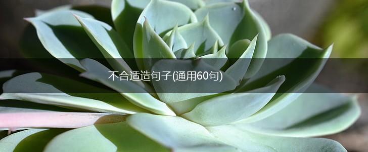 不合适造句子(通用60句),第1张