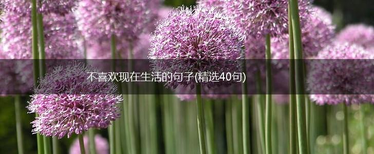 不喜欢现在生活的句子(精选40句),第1张