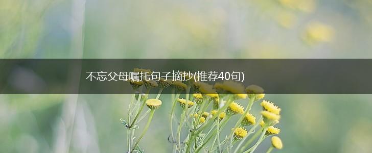 不忘父母嘱托句子摘抄(推荐40句),第1张