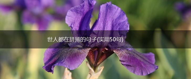 世人都在拼搏的句子(实用50句),第1张