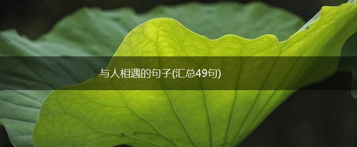 与人相遇的句子(汇总49句),第1张