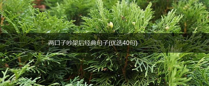 两口子吵架后经典句子(优选40句),第1张