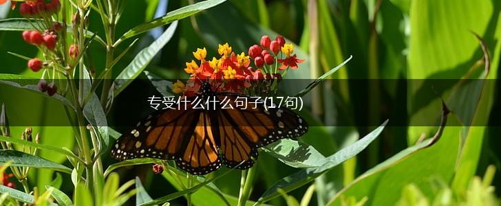 专受什么什么句子(17句),第1张