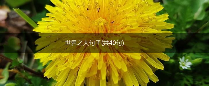 世界之大句子(共40句),第1张