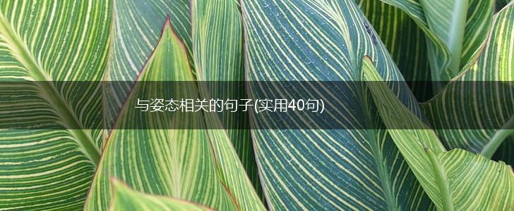 与姿态相关的句子(实用40句),第1张