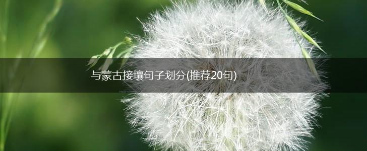 与蒙古接壤句子划分(推荐20句),第1张