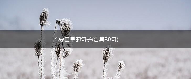 不要自卑的句子(合集30句),第1张
