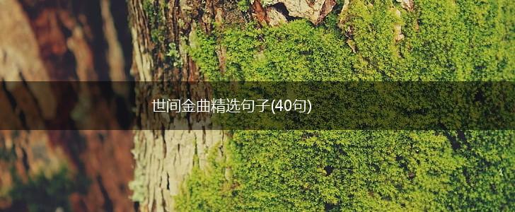 世间金曲精选句子(40句),第1张
