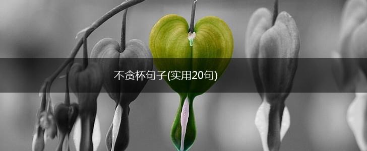不贪杯句子(实用20句),第1张