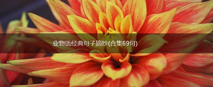 业物语经典句子摘抄(合集69句),第1张