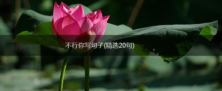 不行你写句子(精选20句),第1张